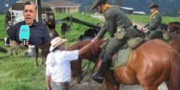 Cámaras, denuncias y toque de queda ganadero: la apuesta del Tolima contra el abigeato