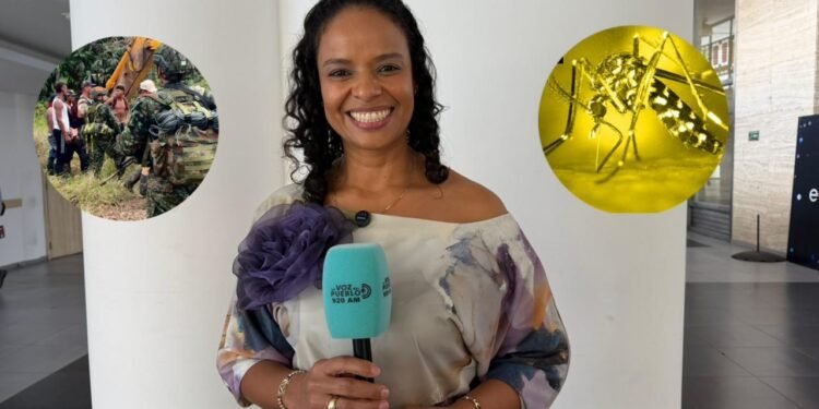 Más que accidentes hospital de Chaparral recibe casos de fiebre amarilla y malaria por extracción ilegal de oro