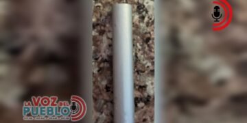 Rechazo de abogados penalistas tras atentado contra Julio Andrés Lozano en Ibagué