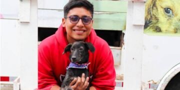 Siete ‘perritos’ encontraron hogar en jornada de adopción del CAPA