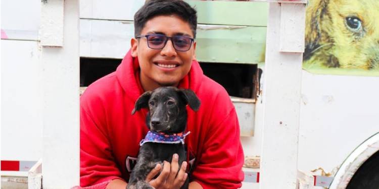 Siete ‘perritos’ encontraron hogar en jornada de adopción del CAPA