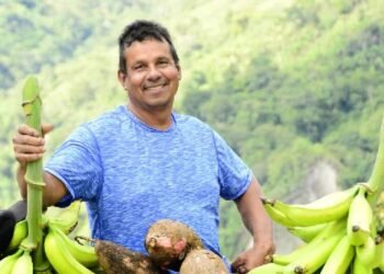 Alcaldía de Ibagué abre convocatoria de seguro de cosecha para pequeños productores rurales