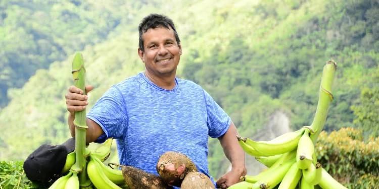 Alcaldía de Ibagué abre convocatoria de seguro de cosecha para pequeños productores rurales