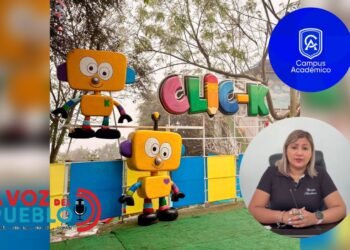 “No esperemos una tragedia”: rectora del colegio Campus Académico denuncia abandono vial