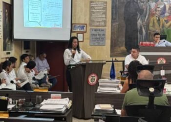 Concejo advierte fallas en inspecciones y comisarías de familia en Ibagué