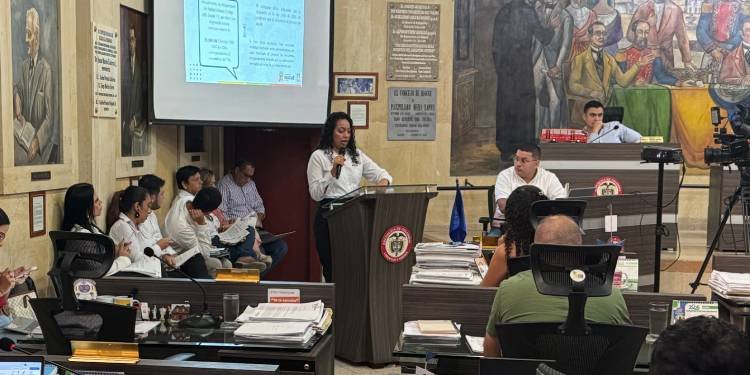Concejo advierte fallas en inspecciones y comisarías de familia en Ibagué