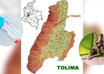 Tolima sin muertes por dengue en 2026: autoridades destacan control histórico y anuncian piloto de vacuna