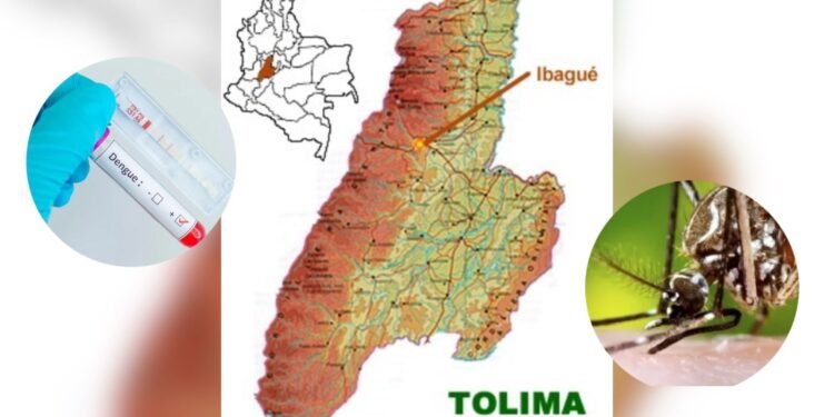 Tolima sin muertes por dengue en 2026: autoridades destacan control histórico y anuncian piloto de vacuna