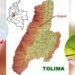 Tolima sin muertes por dengue en 2026: autoridades destacan control histórico y anuncian piloto de vacuna