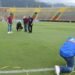 Estadio Murillo Toro fue verificado para el partido entre Deportes Tolima y Coquimbo por Copa Libertadores