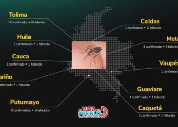 Tolima, el departamento más golpeado por la fiebre amarilla en Colombia: 162 casos y 66 muertes