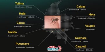 Tolima, el departamento más golpeado por la fiebre amarilla en Colombia: 162 casos y 66 muertes