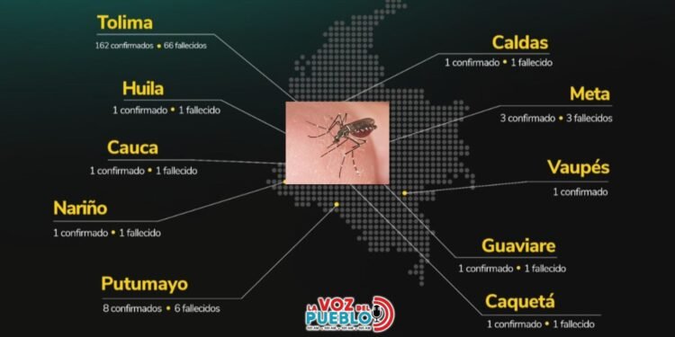 Tolima, el departamento más golpeado por la fiebre amarilla en Colombia: 162 casos y 66 muertes