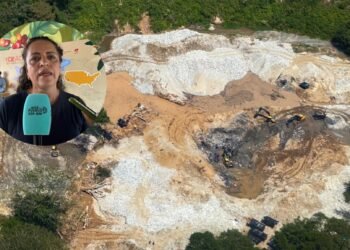 Minería ilegal en Ataco pone en jaque la cosecha cafetera de Planadas