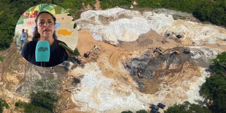 Minería ilegal en Ataco pone en jaque la cosecha cafetera de Planadas