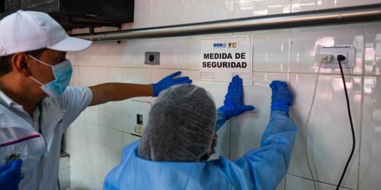 Tres carnicerías fueron cerradas por presencia de plagas