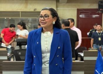 “Secretaría de Gobierno no cuenta con un ingeniero y equipos propios para hacer el control”, concejal Sandra Varón