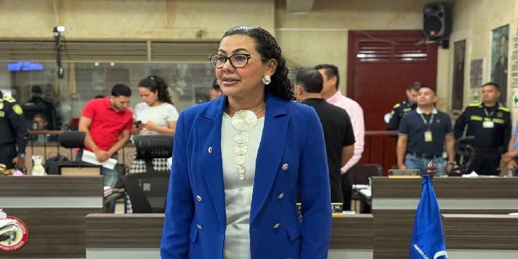 “Secretaría de Gobierno no cuenta con un ingeniero y equipos propios para hacer el control”, concejal Sandra Varón