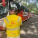 Golpe al contrabando en el Tolima: incautan licor y cerveza ilegal en corredores estratégicos del departamento