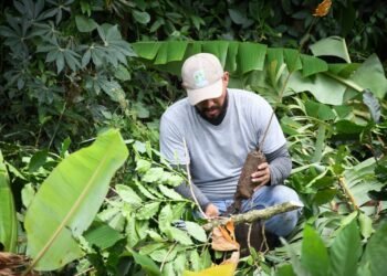 Cortolima logra aprobación de $14.787 millones para conservar áreas estratégicas en Tolima