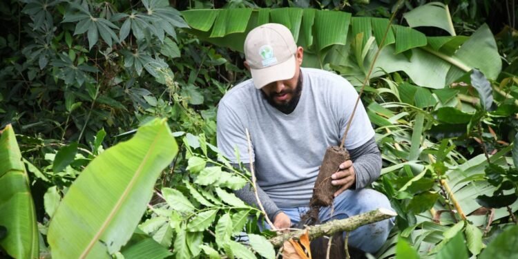 Cortolima logra aprobación de $14.787 millones para conservar áreas estratégicas en Tolima