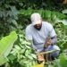 Cortolima logra aprobación de $14.787 millones para conservar áreas estratégicas en Tolima