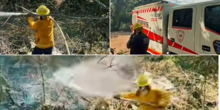 “Una chispa puede acabar con todo”: Bomberos de Chaparral piden frenar quemas y cuidar el agua