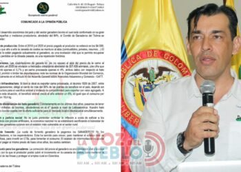 “No somos culpables de la carne cara”: Comité de Ganaderos del Tolima advierte crisis rural