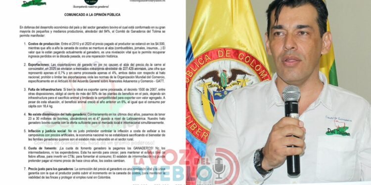 “No somos culpables de la carne cara”: Comité de Ganaderos del Tolima advierte crisis rural
