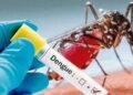 “Le tengo miedo al dengue”: pediatra lanza fuerte advertencia sobre enfermedad que puede ser mortal en niños