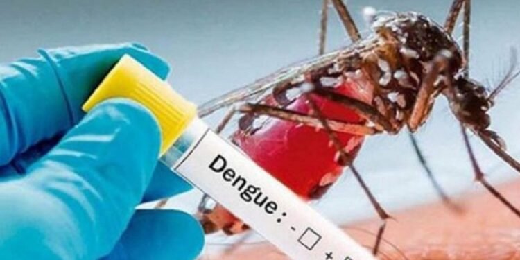 “Le tengo miedo al dengue”: pediatra lanza fuerte advertencia sobre enfermedad que puede ser mortal en niños