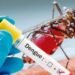 “Le tengo miedo al dengue”: pediatra lanza fuerte advertencia sobre enfermedad que puede ser mortal en niños
