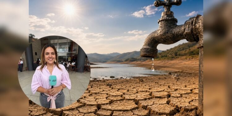 “La escasez de agua ya se empieza a notar”: directora de Ambiente en Tolima por intenso verano