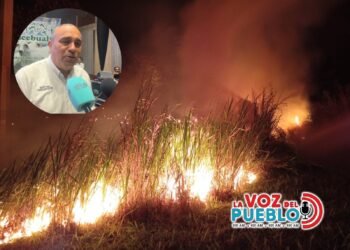 Fenómeno de El Niño arrasa cultivos en Tolima: reportan más de mil hectáreas afectadas