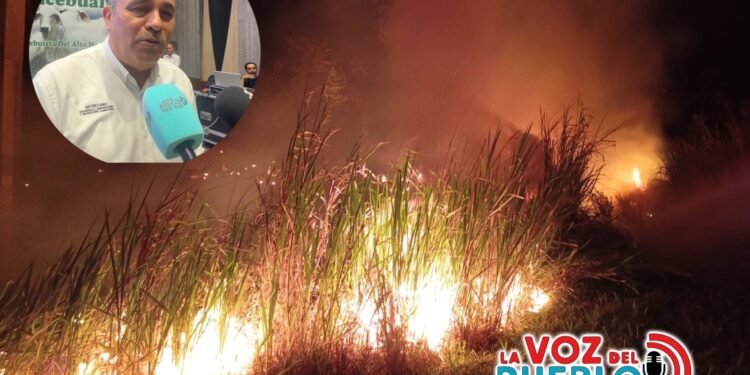 Fenómeno de El Niño arrasa cultivos en Tolima: reportan más de mil hectáreas afectadas
