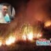 Fenómeno de El Niño arrasa cultivos en Tolima: reportan más de mil hectáreas afectadas