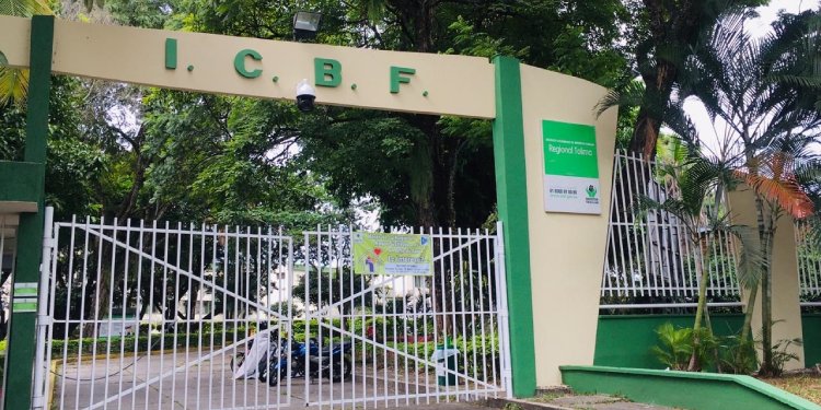 ICBF Tolima se pronunció y aseguró que adolescente de 13 años no está desaparecida