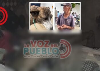 Horror en Chaparral: denuncian a un abuelo de maltrato y presunto abuso contra una canina