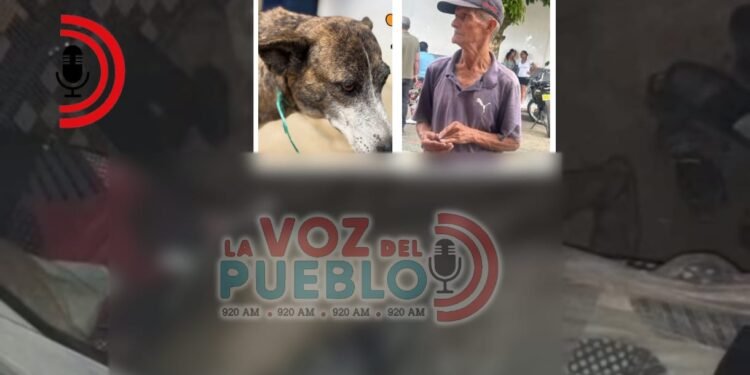 Horror en Chaparral: denuncian a un abuelo de maltrato y presunto abuso contra una canina