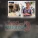 Horror en Chaparral: denuncian a un abuelo de maltrato y presunto abuso contra una canina