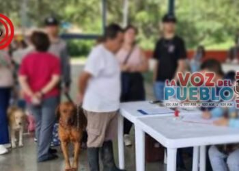 Denuncian presunta deuda de la USI del San Francisco con trabajadores de vacunación animal
