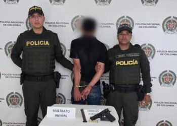 Capturado tras presunto ataque a cuchillo contra un perro en Roncesvalles
