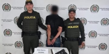 Capturado tras presunto ataque a cuchillo contra un perro en Roncesvalles