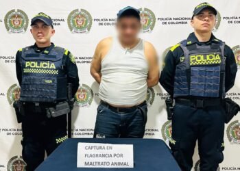Cayó el “desalmado” que atacó a un perro con ‘pico de botella’ en Carmen de Apicalá