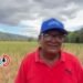 “Estoy que caigo igual que las matas”: dramático testimonio de agricultor tras pérdida total del maíz en Valle de San Juan