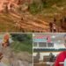 “El orden público está totalmente perdido en Ataco”: dura denuncia de Ferro por minería ilegal