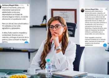 “Disidencias utilizan como escudos humanos a la población civil, a los niños y campesinos en Ataco”: gobernadora del Tolima