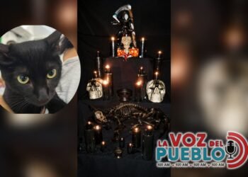 Autoridades alertan presunto sacrificio de un gato en ritual de brujería en El Espinal