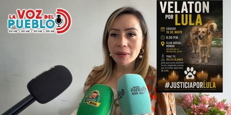 ¡Horror en Honda! Perrita Lula murió tras presunto abuso sexual mientras defendía la vivienda de sus dueños