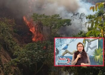 Golpe de calor advierte riesgo extremo por llegada de El Niño al Tolima
